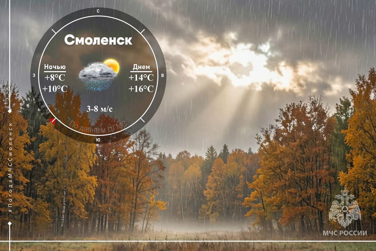 В Смоленской области ожидаются дожди и туман