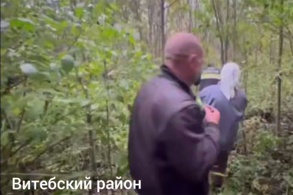 Два человека потерялись в лесах Витебской и Могилевской областей: спасатели помогли им выбраться