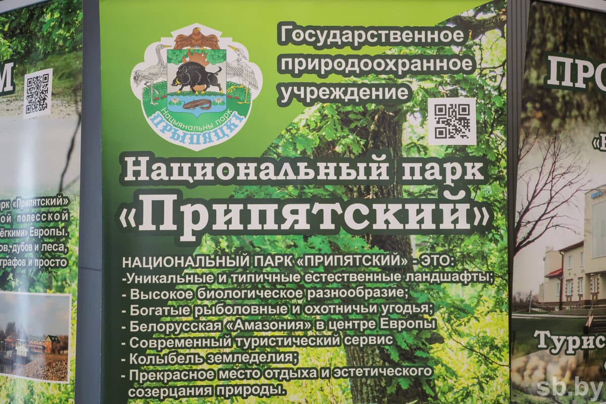 Иллюстративное фото «СБ»