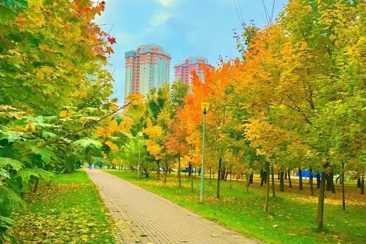 В Костромской области продержится теплая погода с высокой пожароопасностью