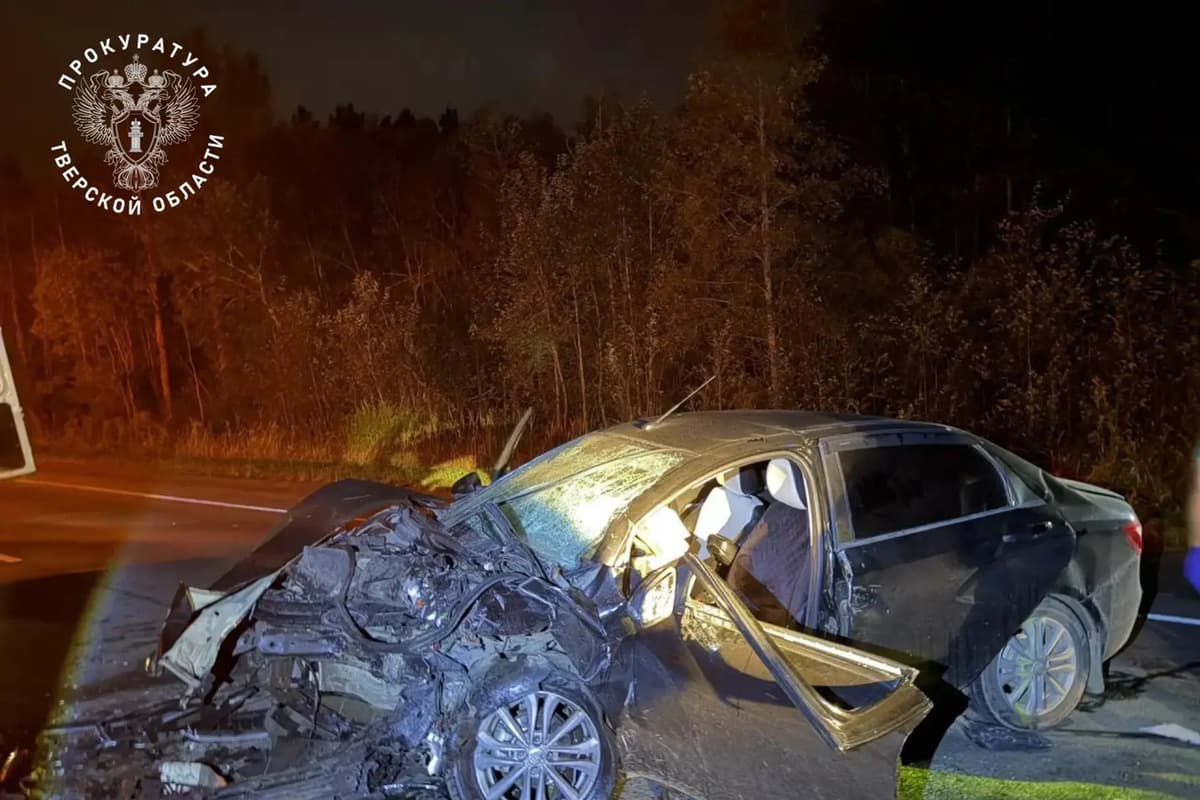 Авария унесла жизни двух людей в Тверской области: водитель уходил от столкновения с лосем