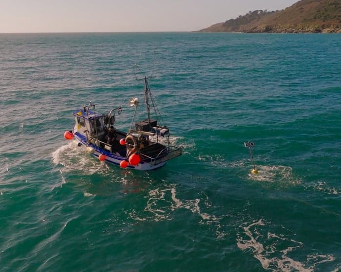 Floating scarecrows: how Cornish fishers are stopping seabirds drowning in their nets