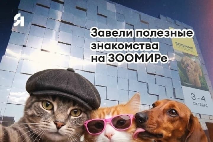 «Зоомир»: выставка для любителей животных открылась в Нижнем