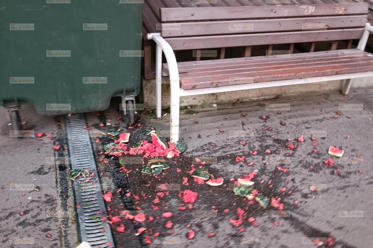 Бычки и арбузные корки пролежали во дворе в Парголово месяц и разозлили жителей