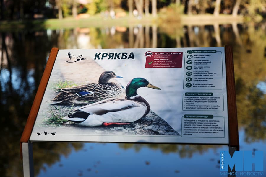 2026 10 03 mgik kuharev obezd 9 novyh zon otdyha kulaga 25 kopiya
