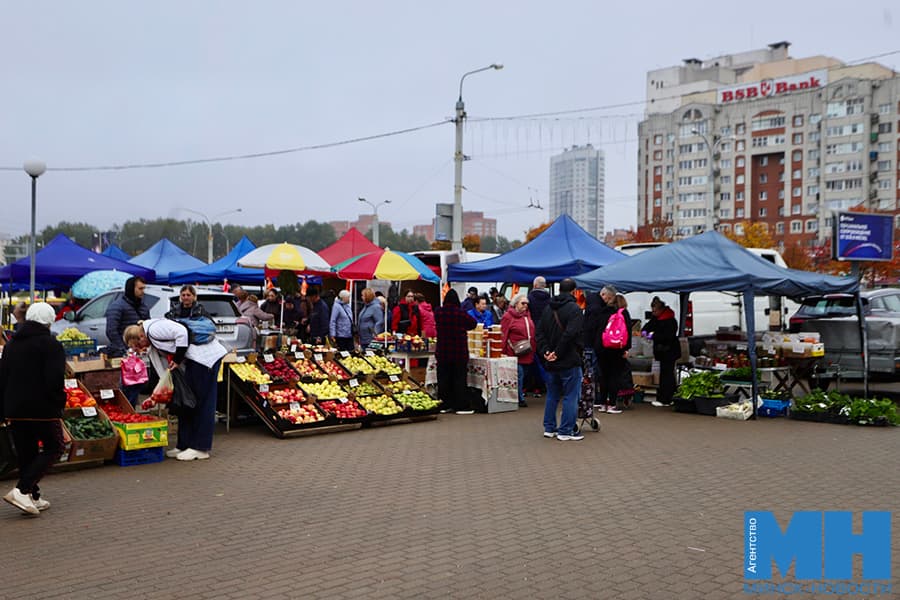 2026 10 04 obshhestvo yarmarka shabala2 kopiya