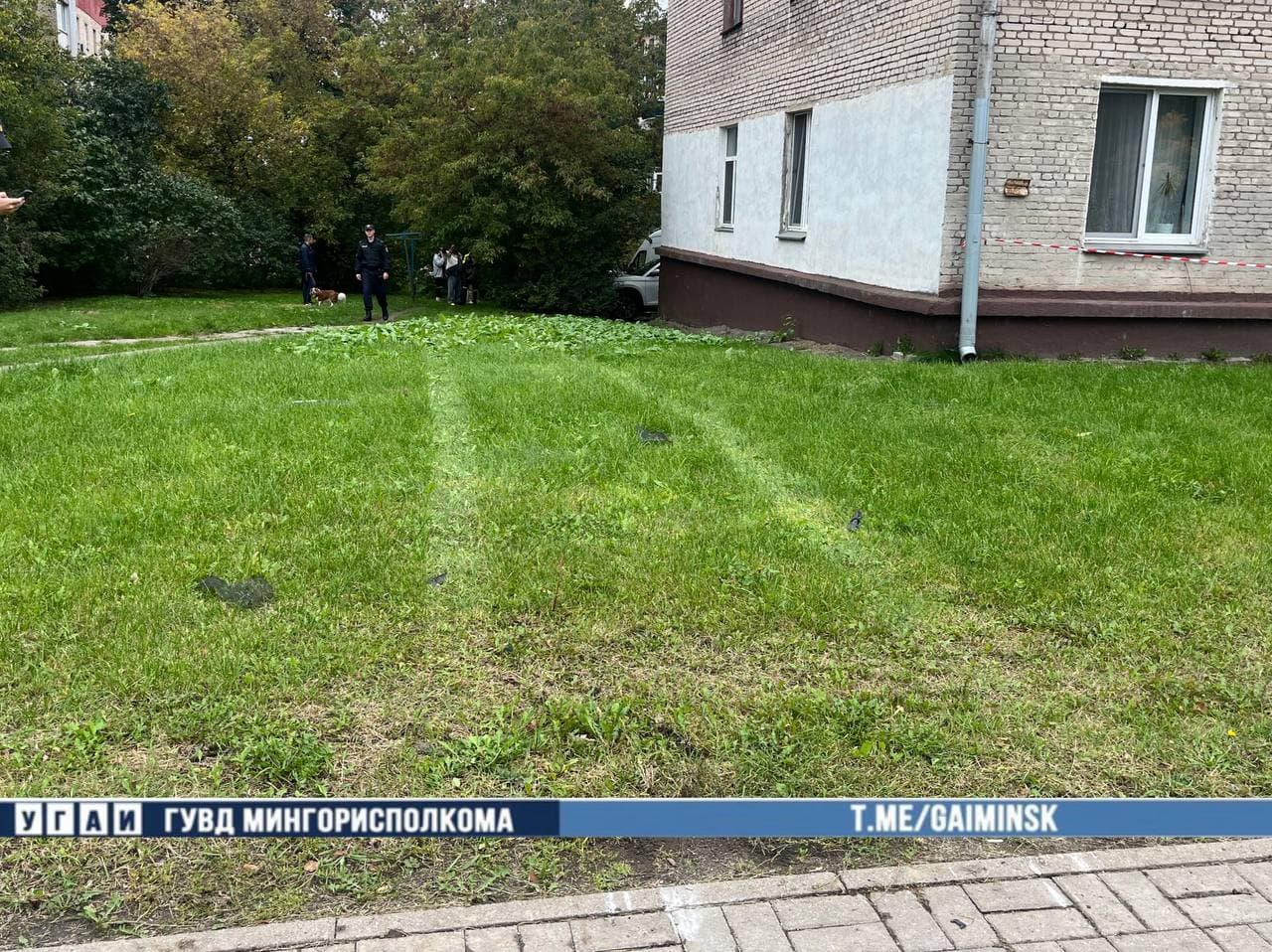 Две четкие параллельные полосы примятой травы, оставленные колесами автомобиля, тянутся через зеленый газон во дворе жилого дома мимо торца кирпичного здания. На заднем плане среди деревьев видны сотрудники милиции и прохожие, а внизу кадра расположена плашка ГАИ Минска.