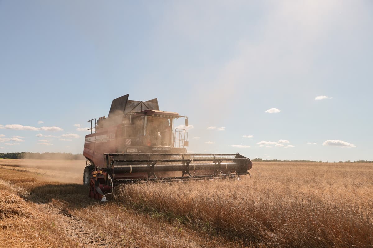 Belarusian farmers threshed more than 9.5 million tons of grain, including rapeseed and corn