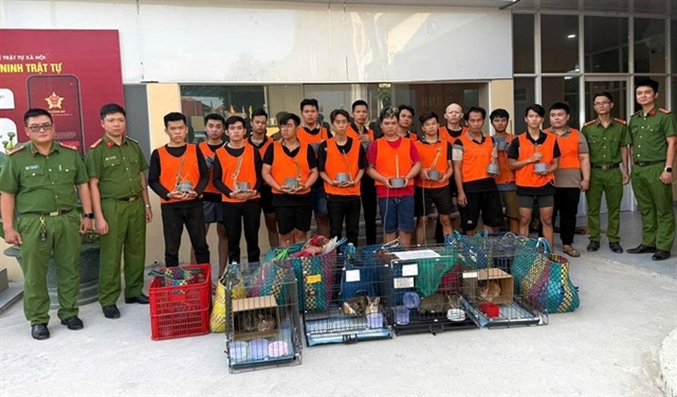Gang kidnaps and sells 2,700 cats for meat