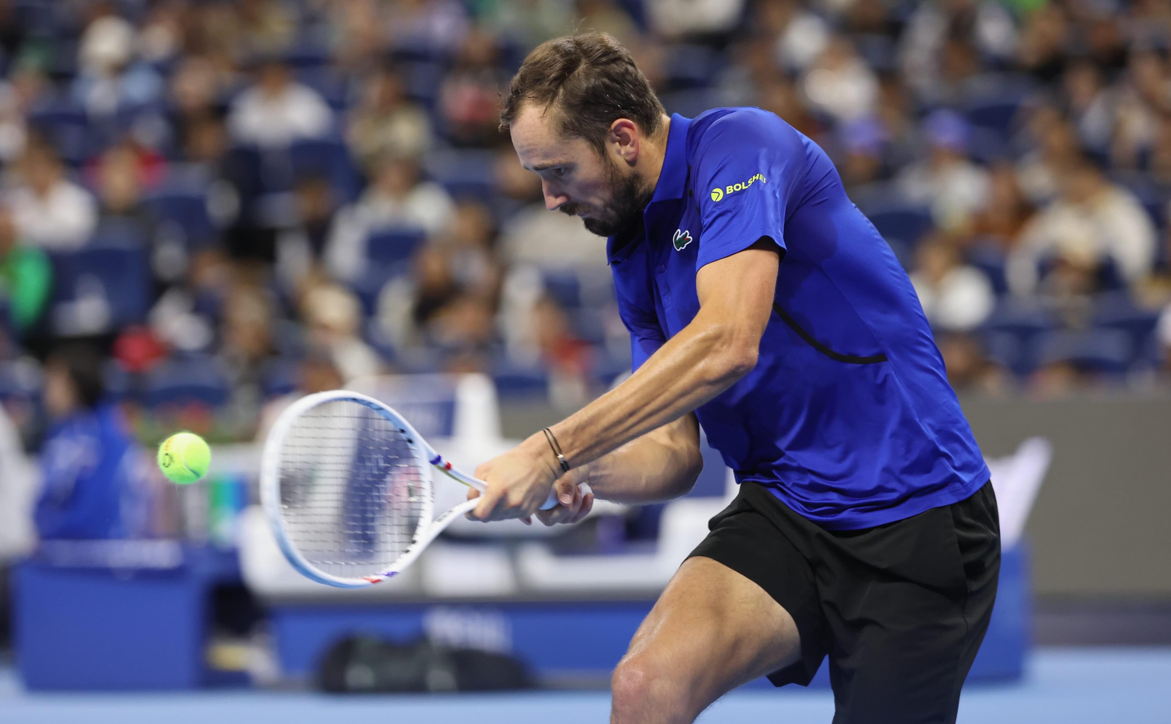 Djokovic sympathized with Medvedev after his blow to the fan