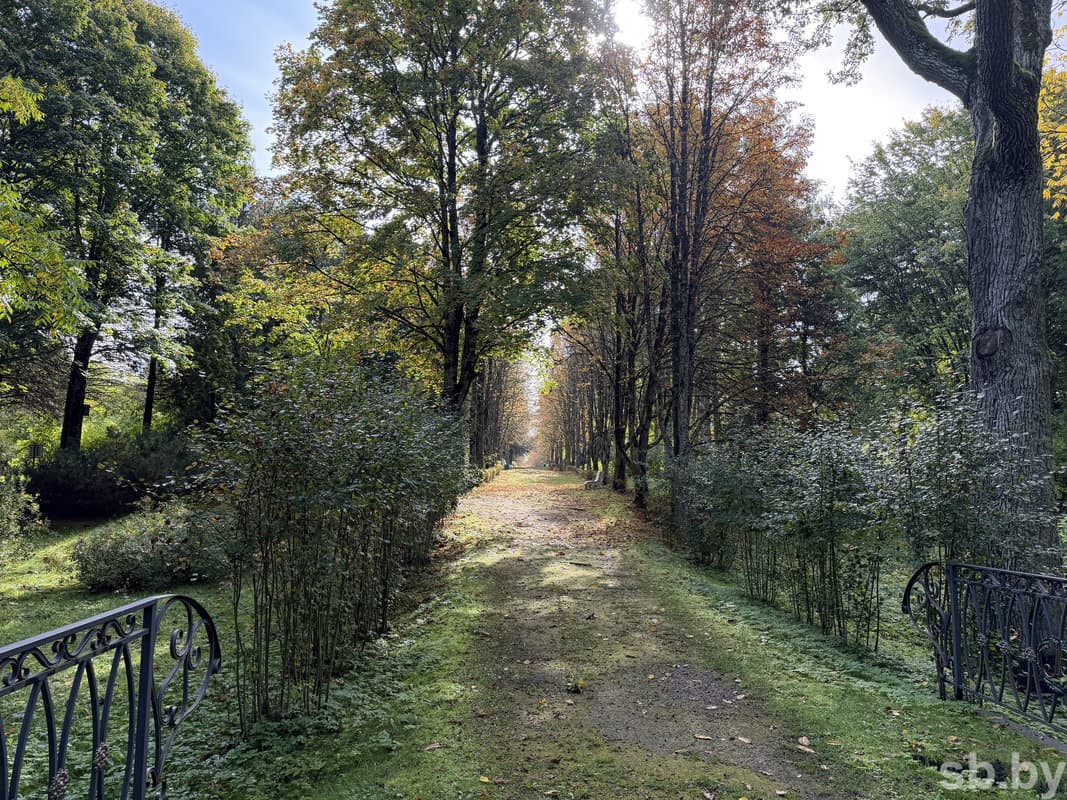 The beauty of the dendrologic garden.