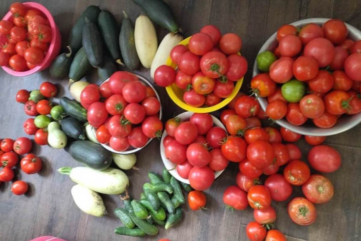 Voronezh residents began to buy farm vegetables more often after the announcement n