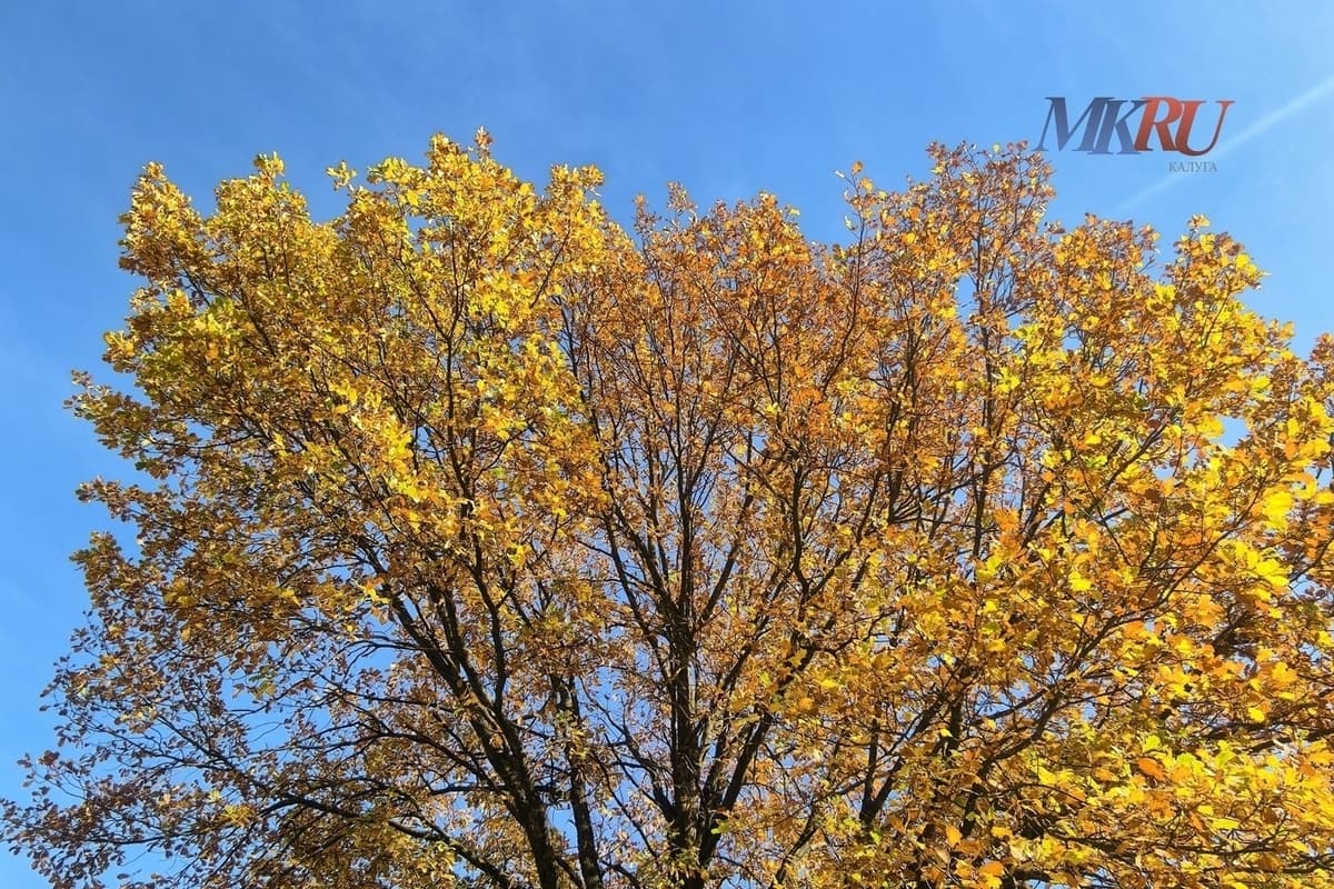 How to survive the autumn without incident