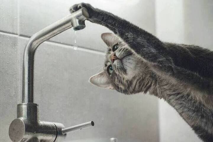 In Tokmak introduced a temporary restriction of water supply
