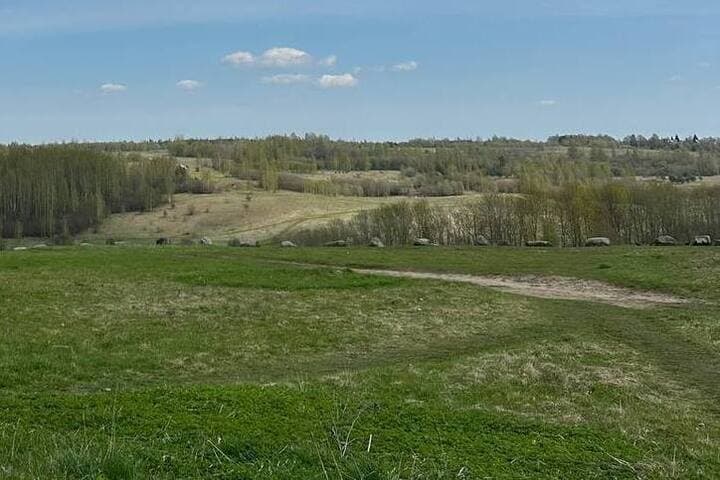 Near Guryevsk, six hectares of overgrown land were again given for harvest