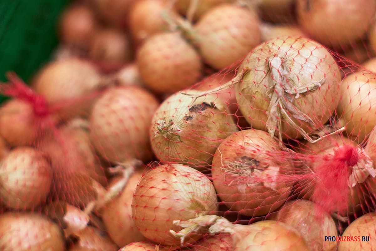 When to plant onions in the winter in 2026: the timing for Siberia and beyond
