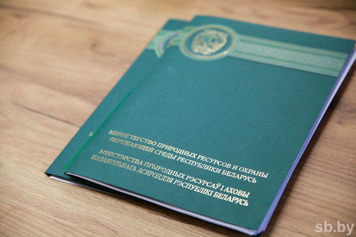 Beispielhaftes SB-Foto