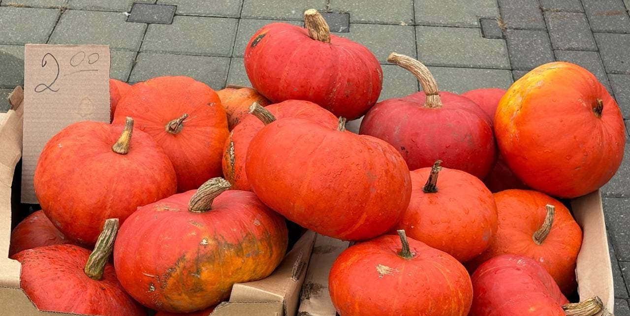 Pumpkin at a vegetable fair in Minsk