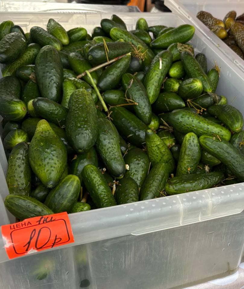 Pickles of the 2026 harvest at the fair in Minsk