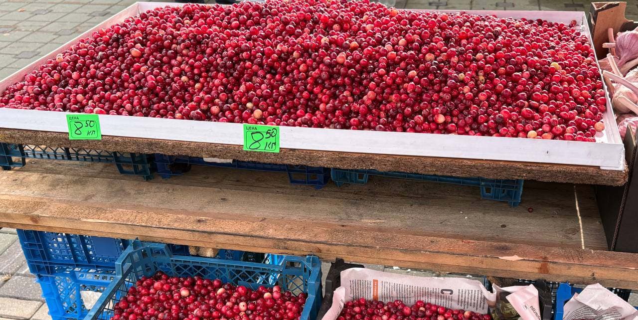 Cranberries at the Minsk Vegetable Fair