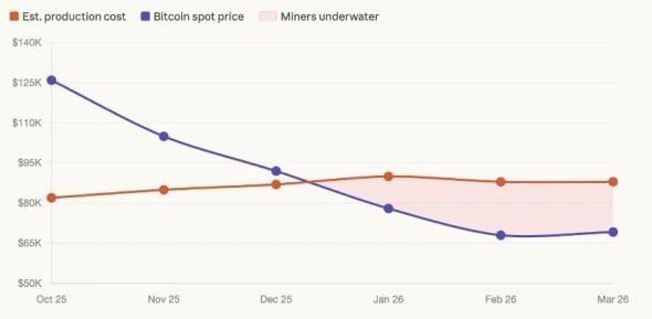 Новость дня