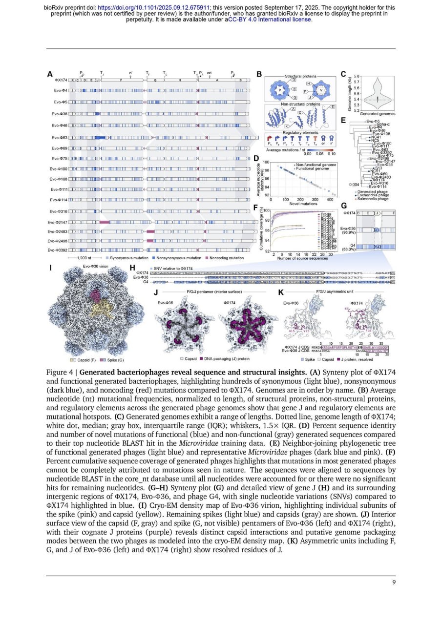 Учёные из Института Arc провели необычный эксперимент